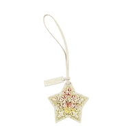 Dior Lucky Dior Star Capricorn Bag Charm