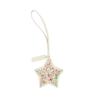 Dior Lucky Dior Star Aquarius Bag Charm