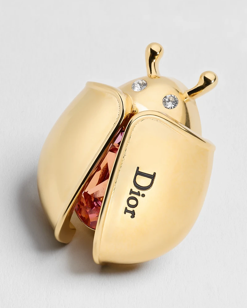 Dior Lady Spark Brooch