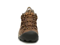 Targhee Waterproof Hiking Shoe - Men's