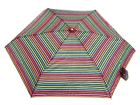 Manual Open Mini Umbrella