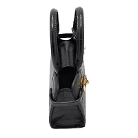 Faranariel Satchel