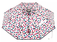 Clear Umbrella