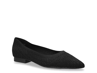 Mireya Flat