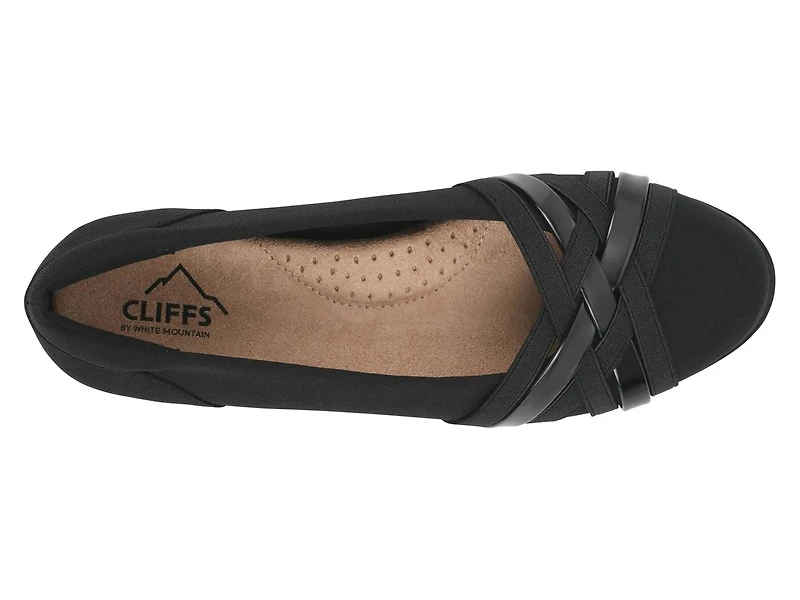 Chic Ballet Flat