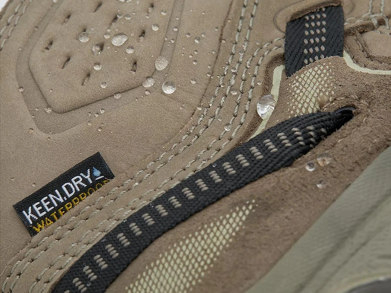 Targhee IV Waterproof Hiking Boot