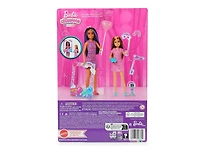 Barbie Celebration Fun Doll - 2 Pack