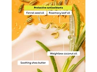 Classic Lip Balm Set - 4 Pack