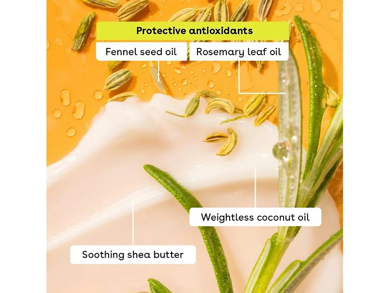 Tropical Lip Balm Set - 4 Pack