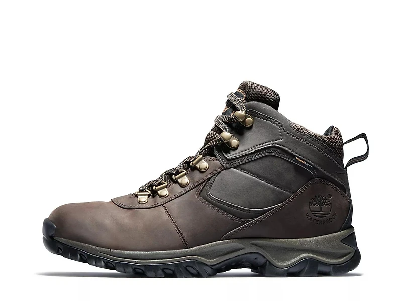 Mt. Maddsen Hiking Boot - Men's
