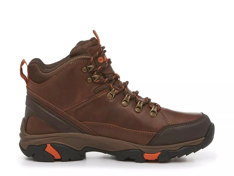 Acadia Hiking Shoe - Men's