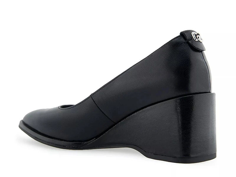 Aurora Wedge Pump