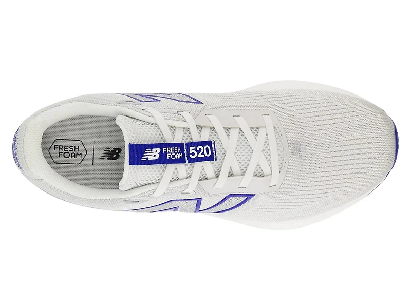 Fresh Foam 520 v9 Running Shoe
