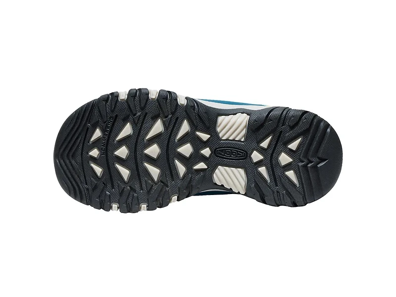 Targhee IV Hiking Shoe