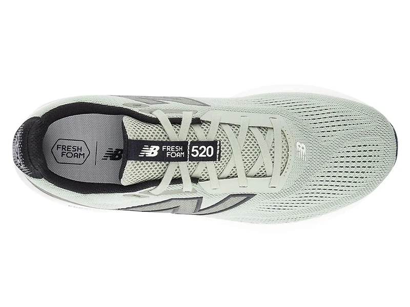 Fresh Foam 520 v9 Running Shoe