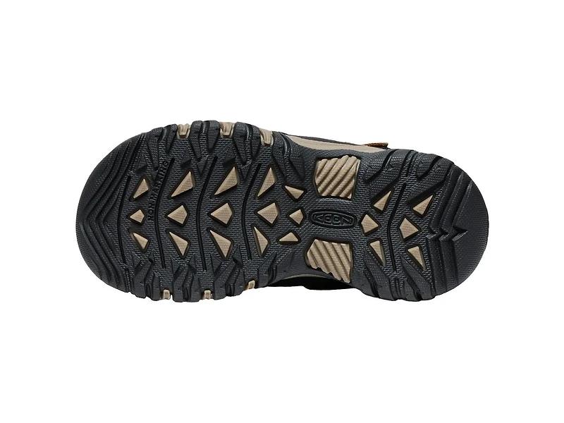 Targhee IV Waterproof Hiking Boot