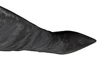 Backer Over-the-Knee Boot