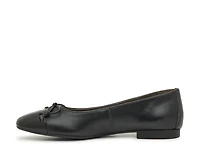 Violet Ballet Flat