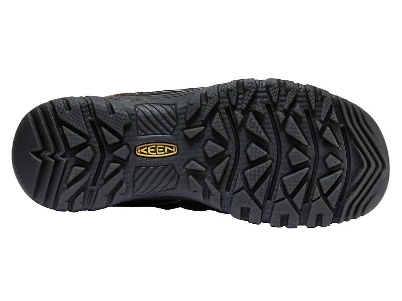 Targhee IV Hiking Shoe - Men's