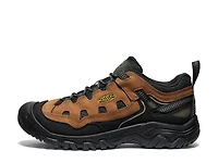 Targhee IV Hiking Shoe - Men's
