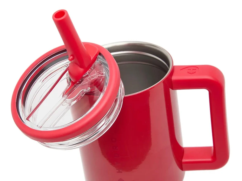 Traveler Red Shine 20-Oz. Water Bottle