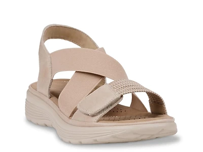 Ariel Sandal