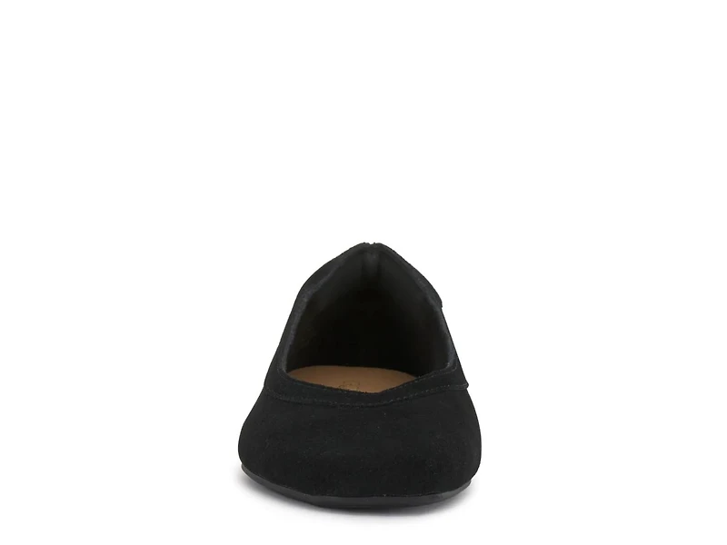 Nish Ballet Flat