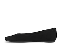 Nish Ballet Flat
