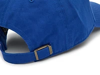 Chicago Cubs Clean Up Baseball Cap