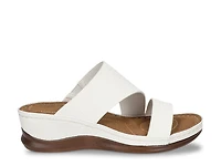 Larrain Wedge Slide