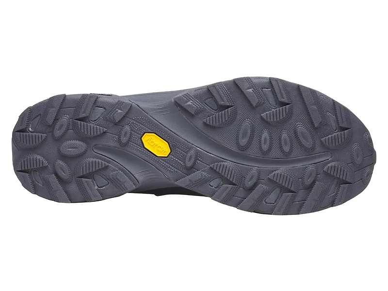 Ontario Speed Hiking Shoe