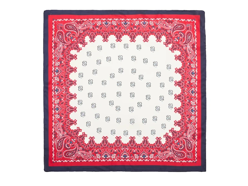 Bandanna Print Scarf