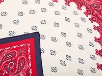 Bandanna Print Scarf