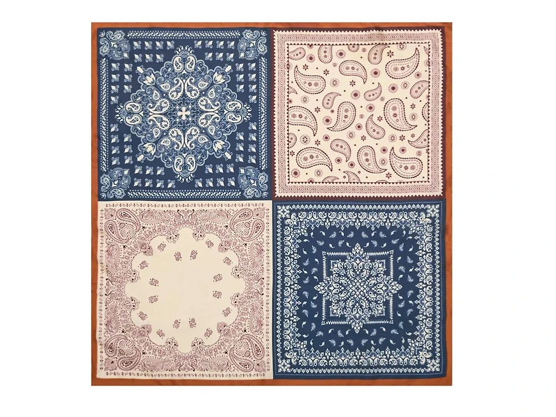 Bandanna Print Scarf