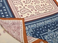 Bandanna Print Scarf
