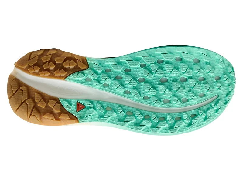 Roam Trail Running Shoe