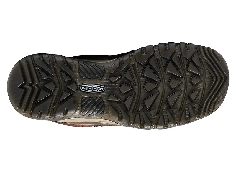 Targhee IV Mid Hiking Boot - Men's