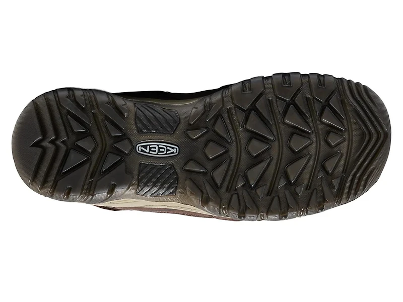 Targhee IV Hiking Shoe - Men's