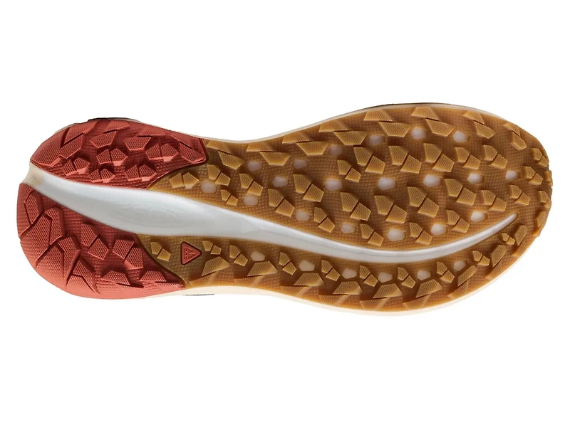 Roam Trail Running Shoe - Men's