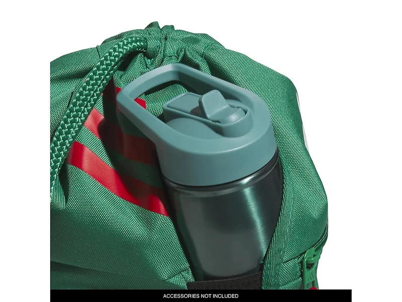 Mexico Stadium Backpack
