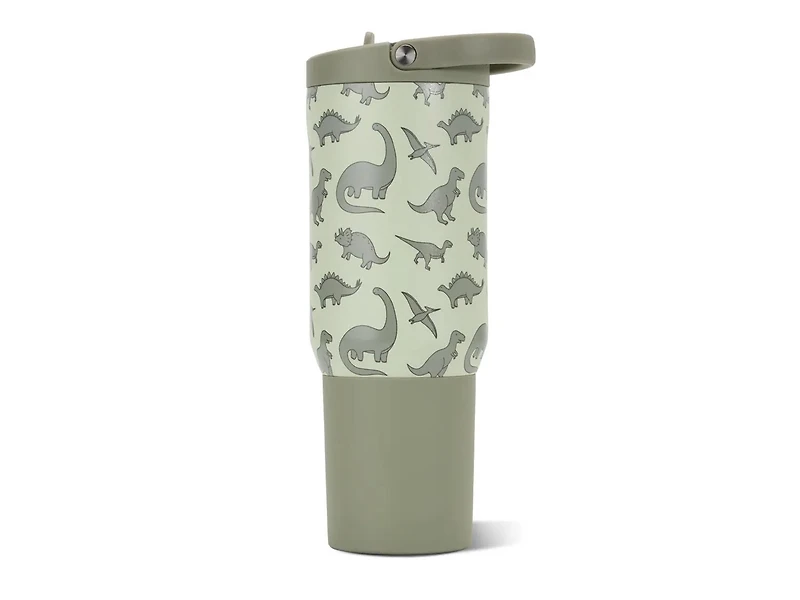 Dino Sport Top 20-Oz. Water Bottle
