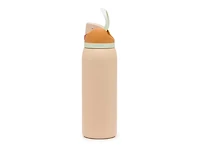 FreeSip Water In The Desert 40-Oz. Water Bottle