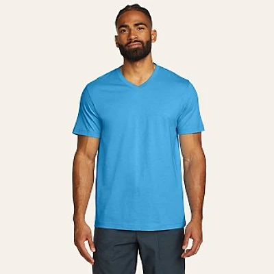 Men's Legend Wash 100% Cotton Short-Sleeve V-Neck T-Shirt