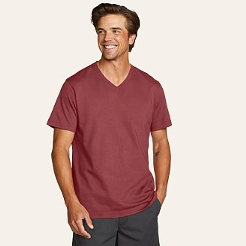 Men's Legend Wash 100% Cotton Short-Sleeve V-Neck T-Shirt