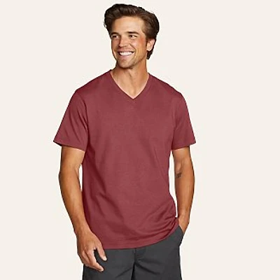 Men's Legend Wash 100% Cotton Short-Sleeve V-Neck T-Shirt
