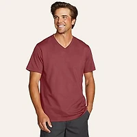 Men's Legend Wash 100% Cotton Short-Sleeve V-Neck T-Shirt