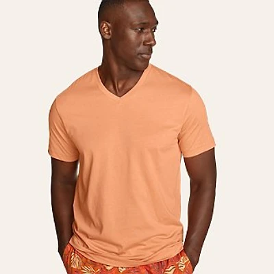 Men's Legend Wash 100% Cotton Short-Sleeve V-Neck T-Shirt