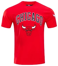 Pro Standard BULLS CLASSIC BRISTLE SJ TEE - Men's