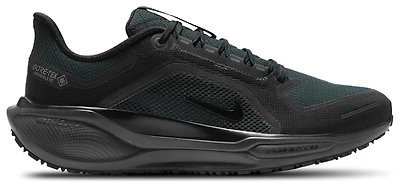 Nike Air ZOOM Pegasus 41 GTX - Men's