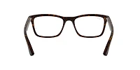 RB5279 Optics